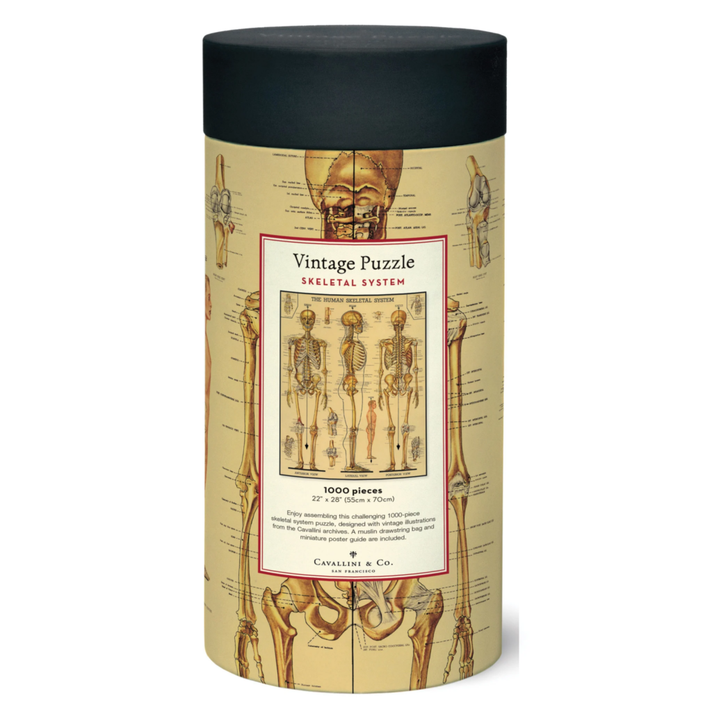 Puzzle Cavallini Squelette