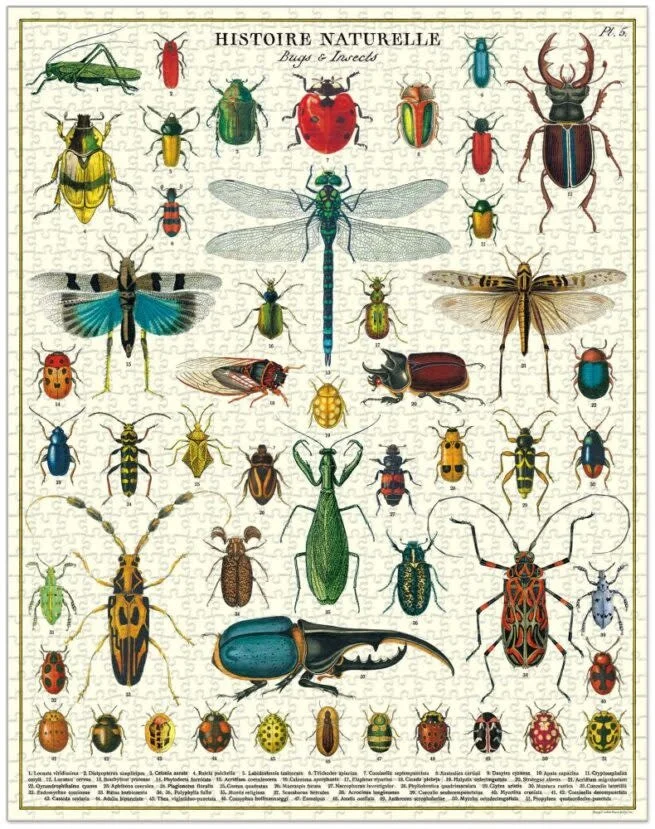 Puzzle Cavallini Insectes – Image 2